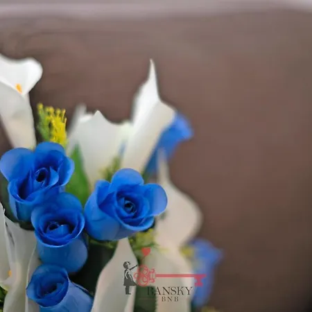 Center - For 6 People With Terrace -by Easylife Swiss *