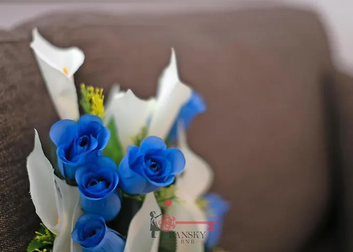 Center - For 6 People With Terrace -by Easylife Swiss *